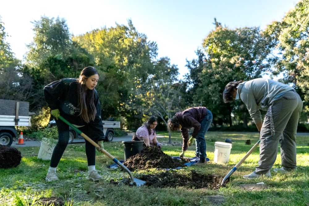A group of four people dig holes into the grass